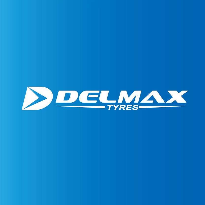 Delmax logo